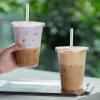 imageLamosi 100 Pack 16 oz Clear Plastic Cups with Lids and Straws Disposable Plastic Coffee Cups with Lids for Iced Coffee Cold Beverages Smoothies and ToGo Drinks12oz200pack with lids