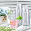 imageLamosi 9 oz Clear Plastic Cups 100 Pack Disposable Party Cups PET Clear Plastic Cocktail Tumblers for Party ampamp Wedding9OZ300PACK